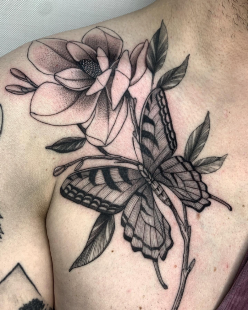 Portafolio 3 de Brons