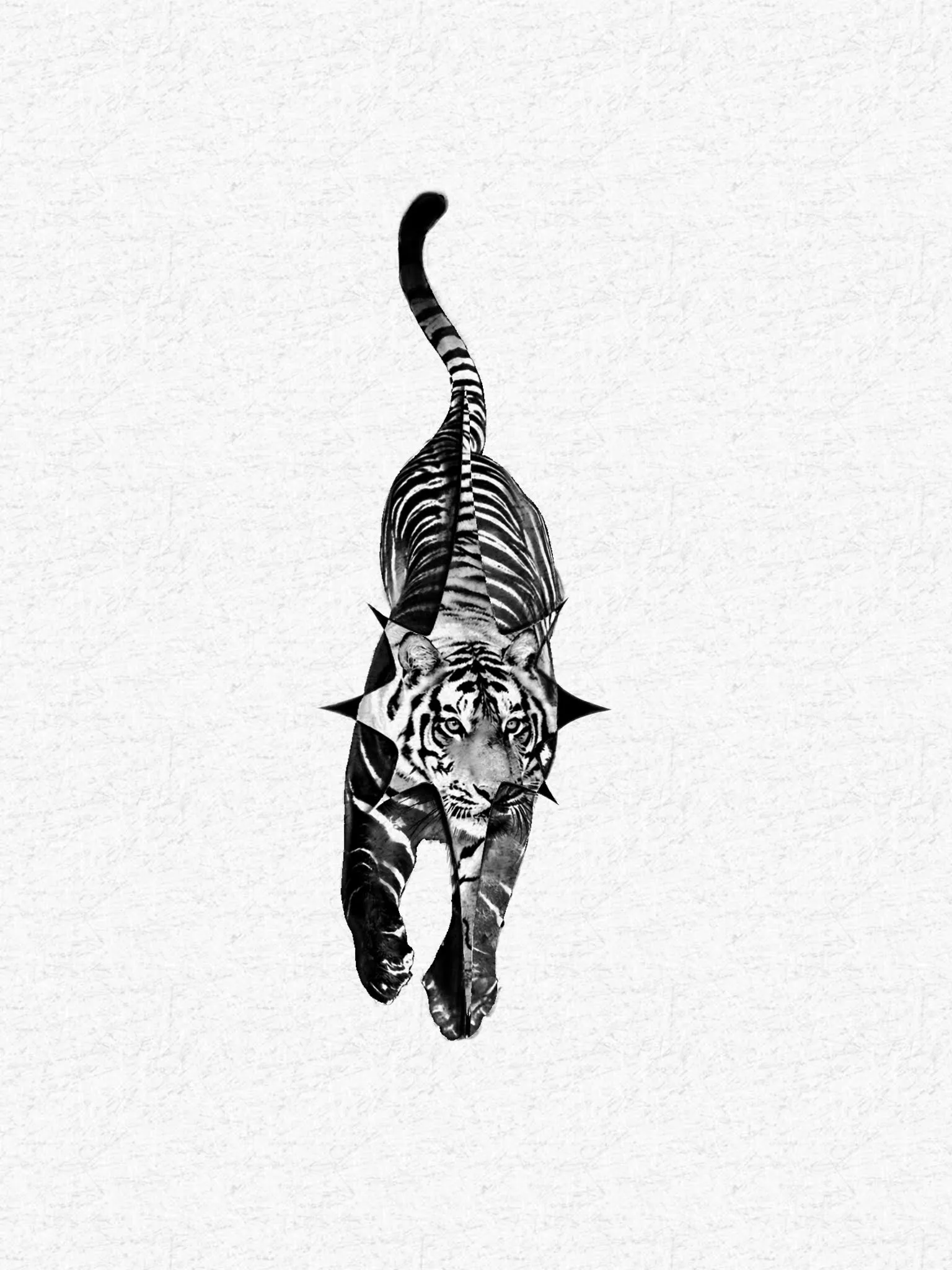 Tigre con brillo en negativo