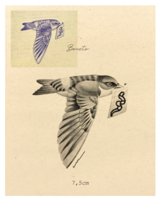 Golondrina Chilena 