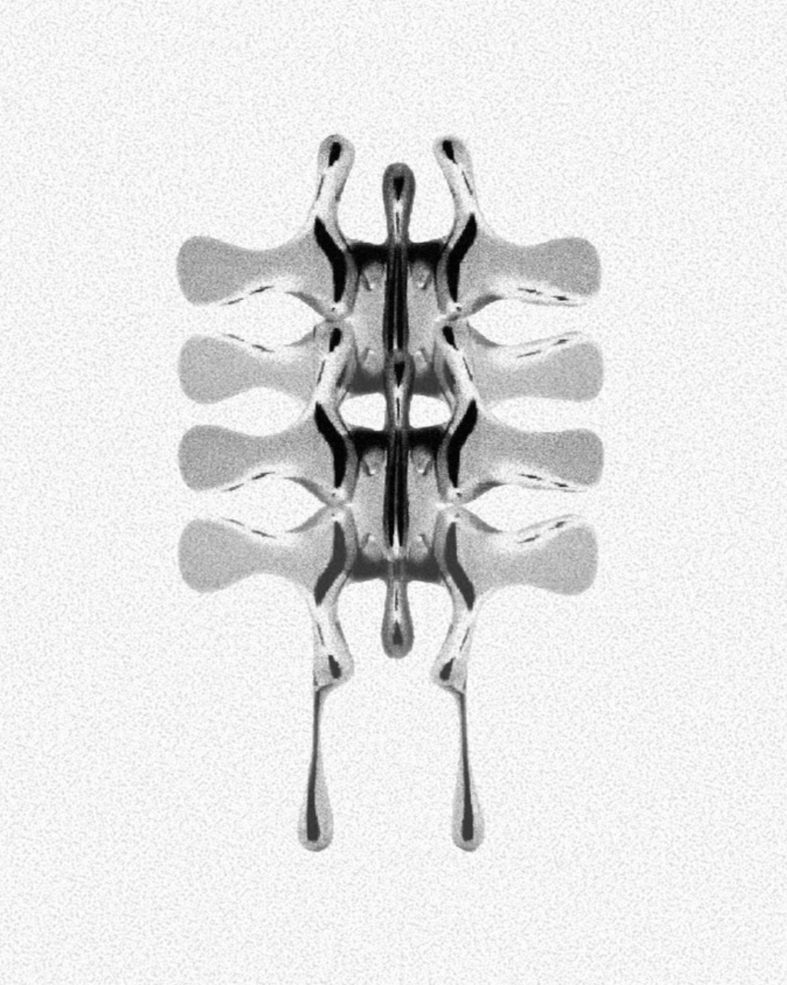 Biomecánico vertebral I