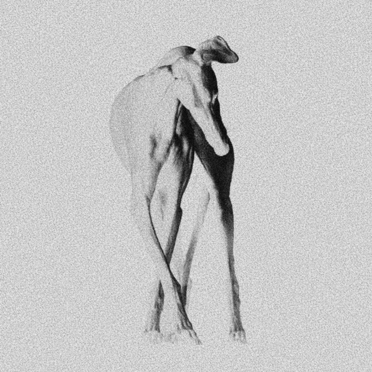 Galgo I
