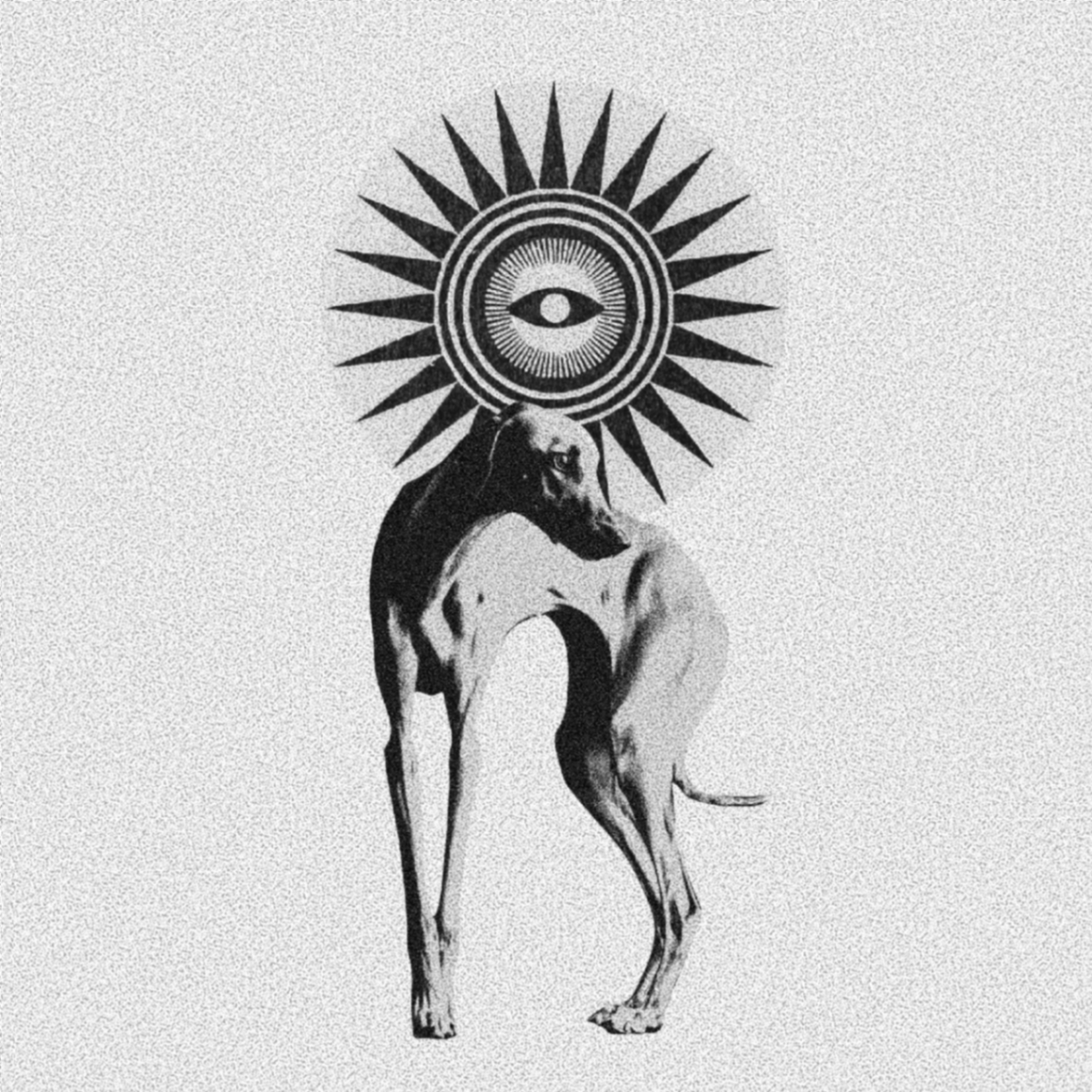 Perro I