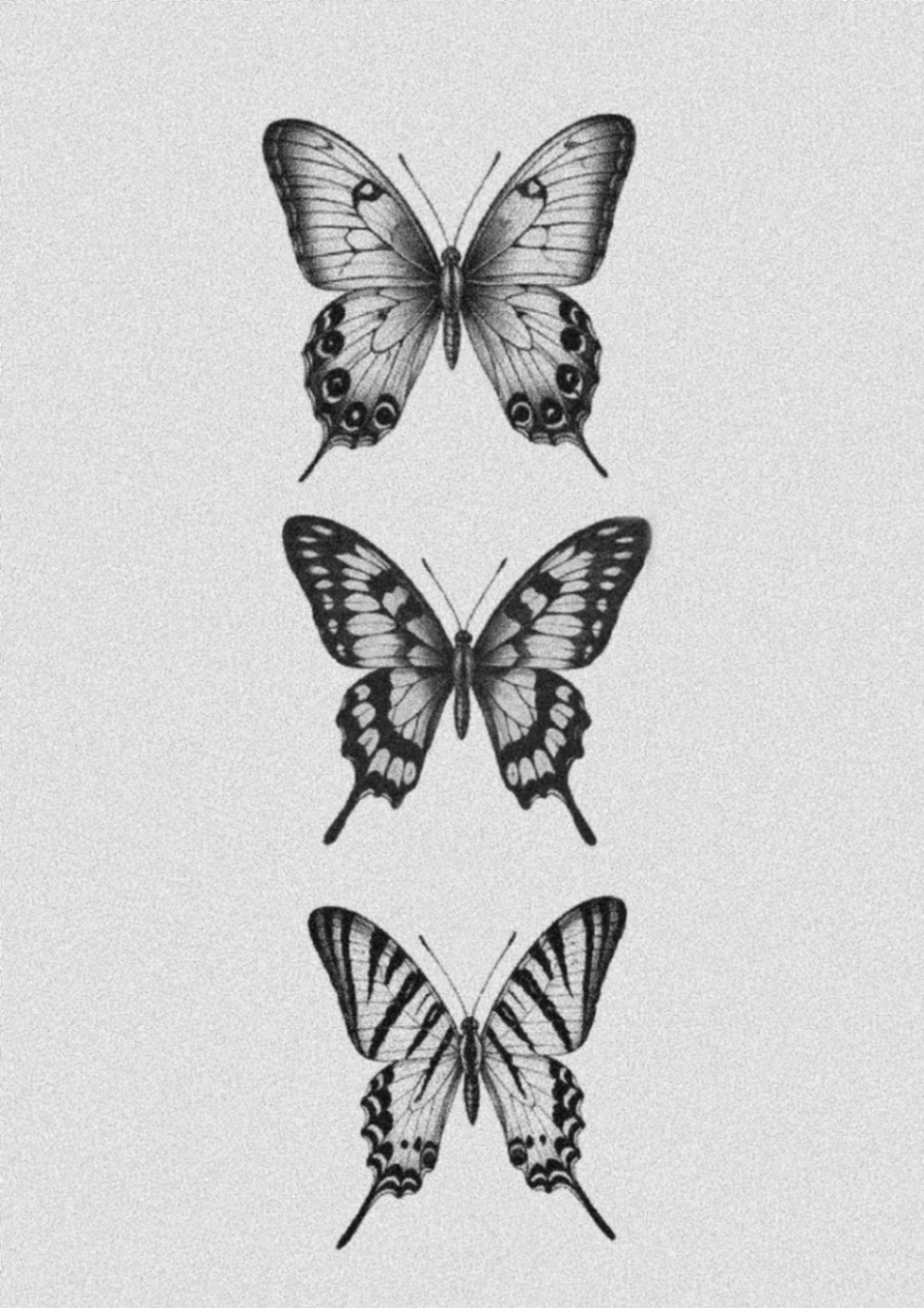Mariposas - Imagen 1