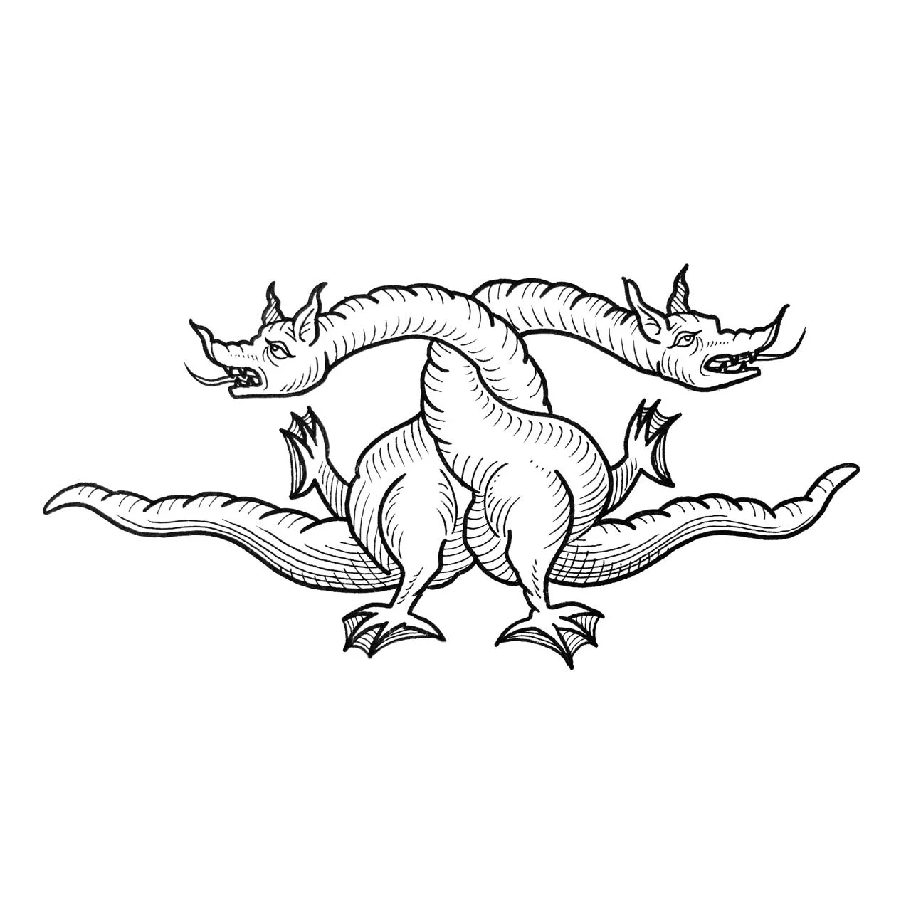 Dos dragones