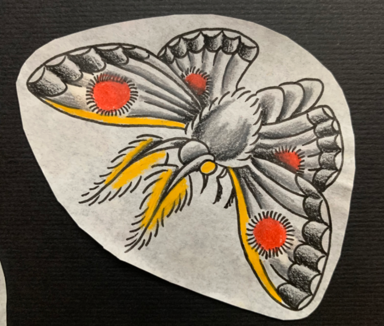 Polilla - Imagen 1