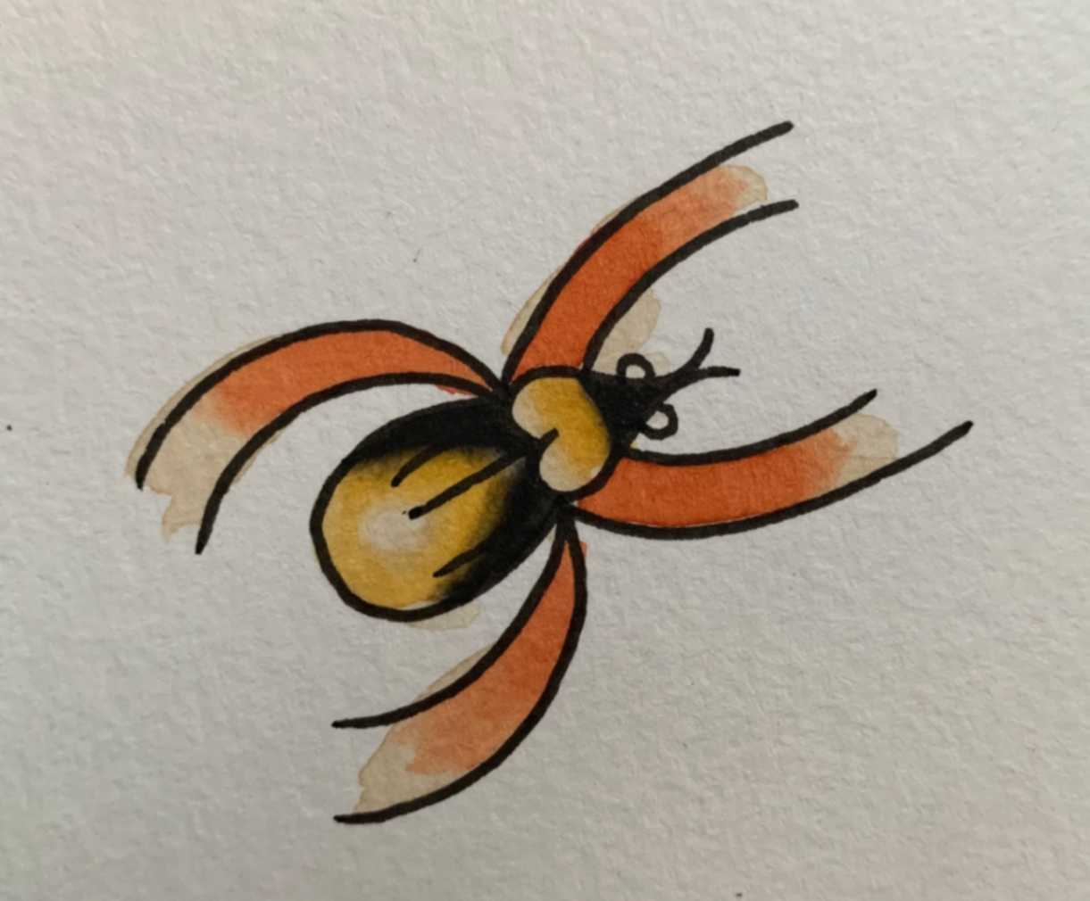 Arañita tradicional - Imagen 1