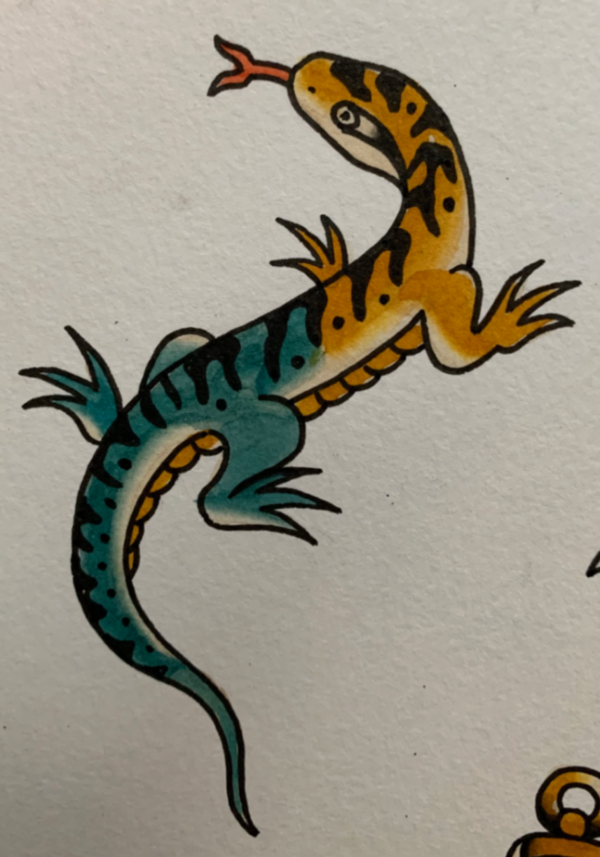 Lagartija chilena - Imagen 1