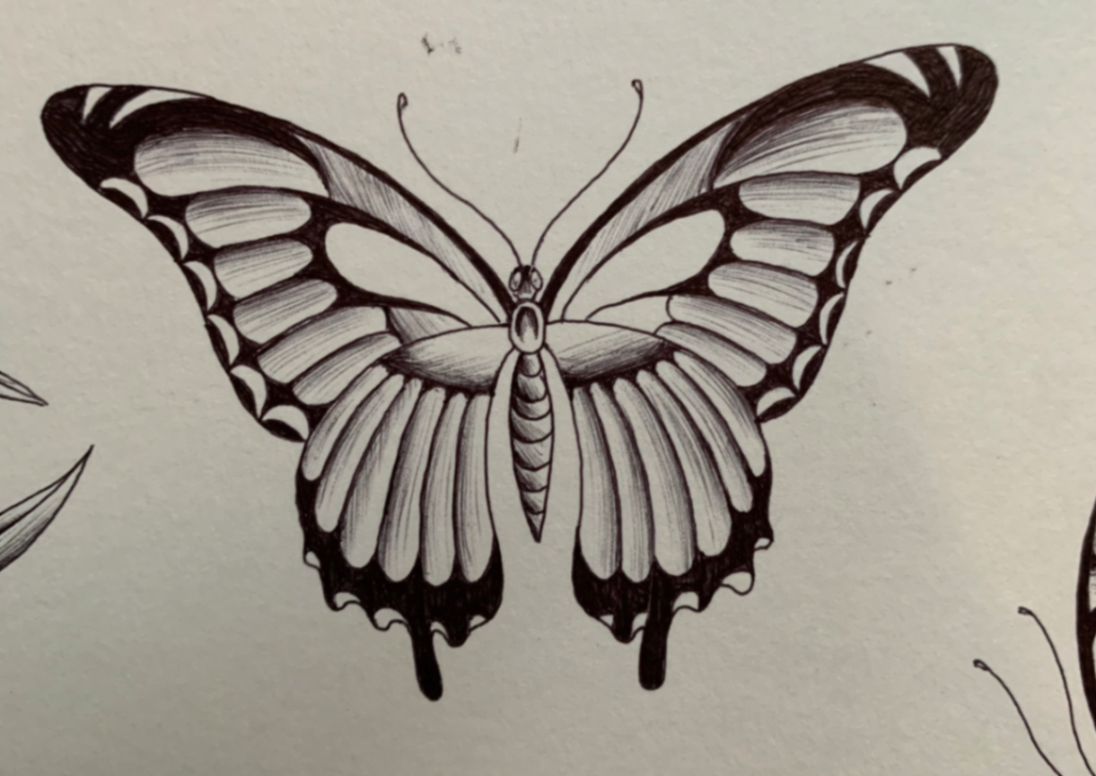 Mariposa fineline - Imagen 1