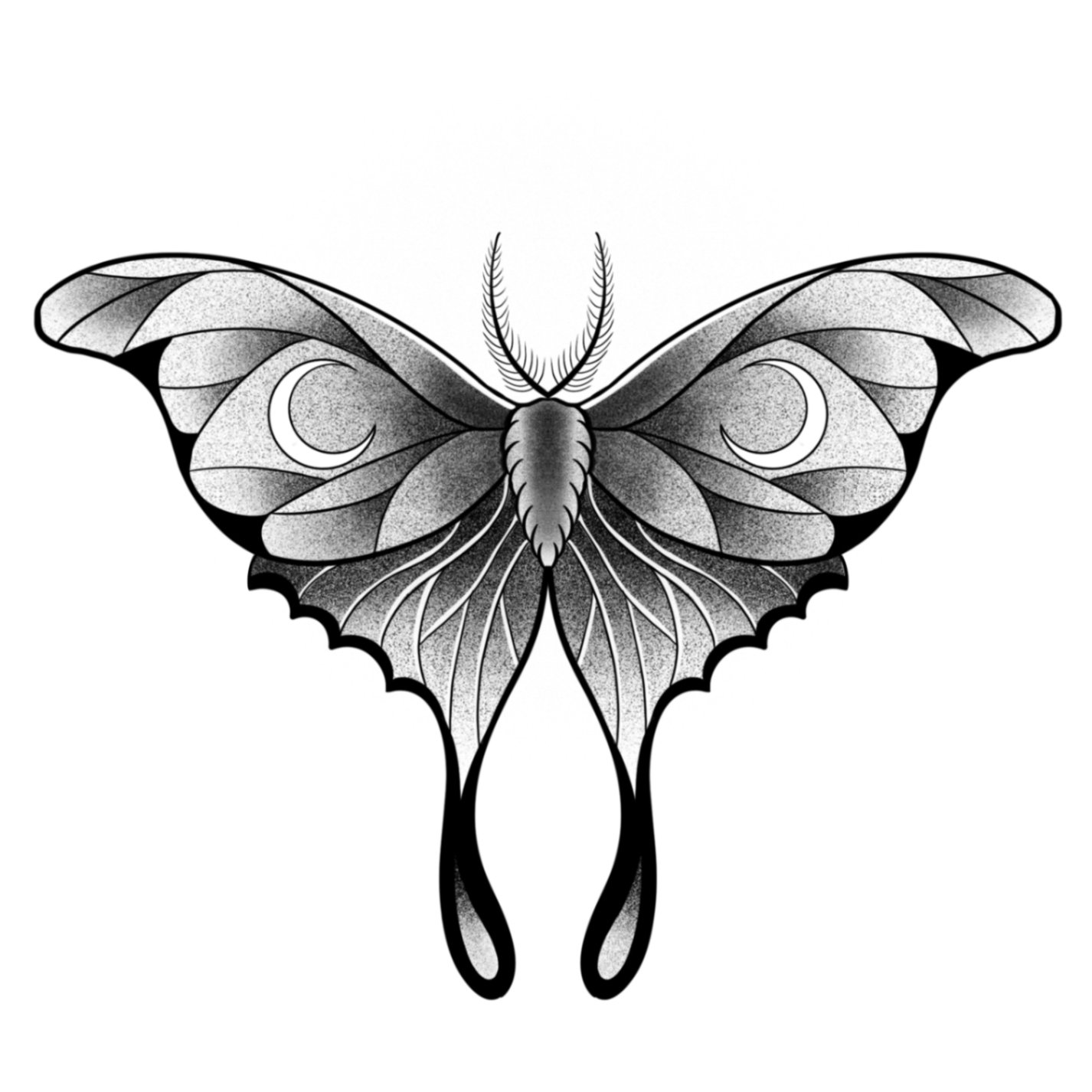 Polilla - Imagen 1