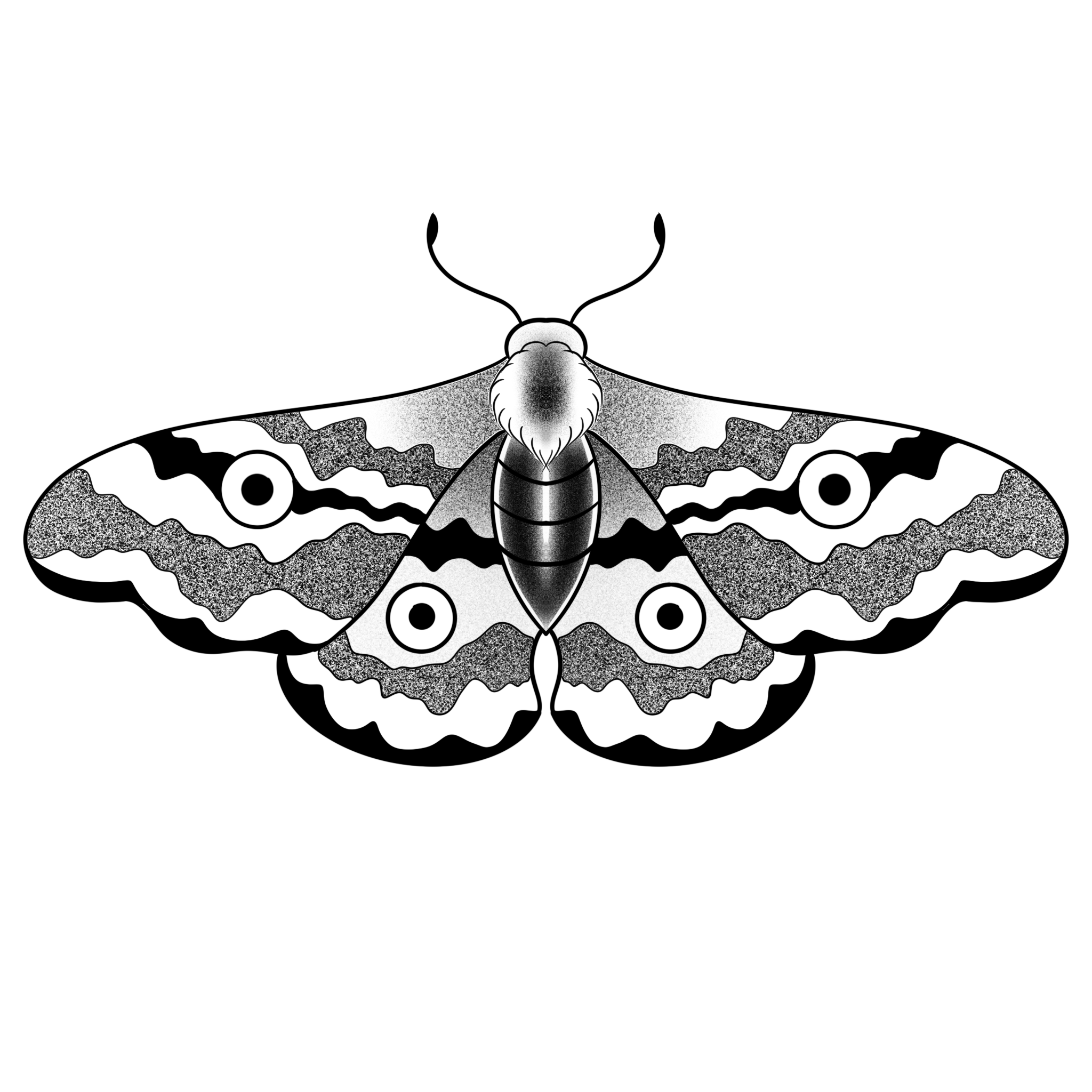 Polillita - Imagen 1