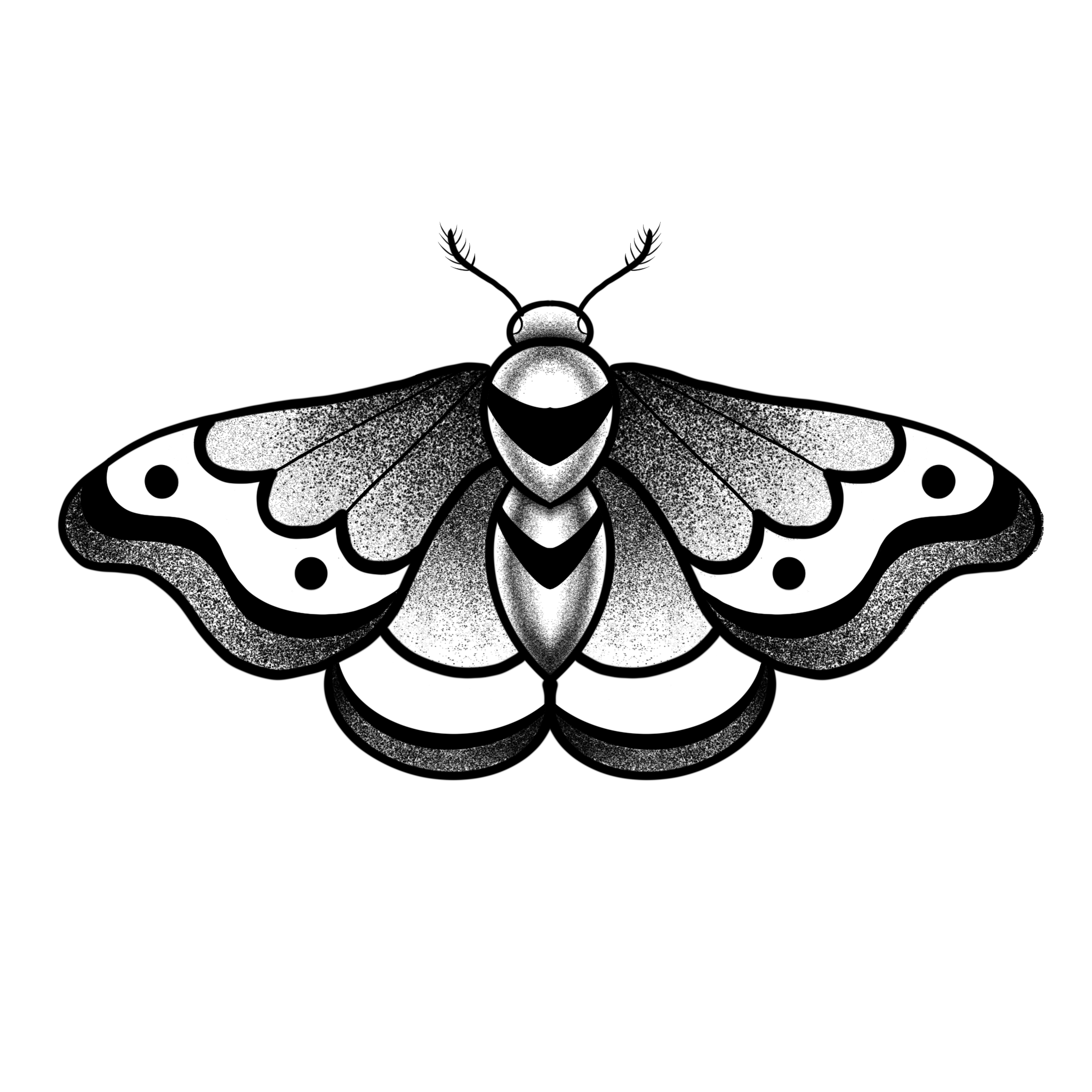 Polillita 2 - Imagen 1