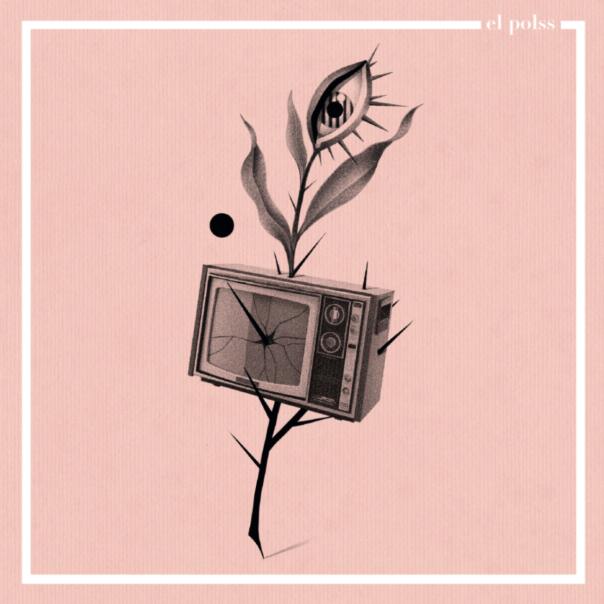Televisor y planta