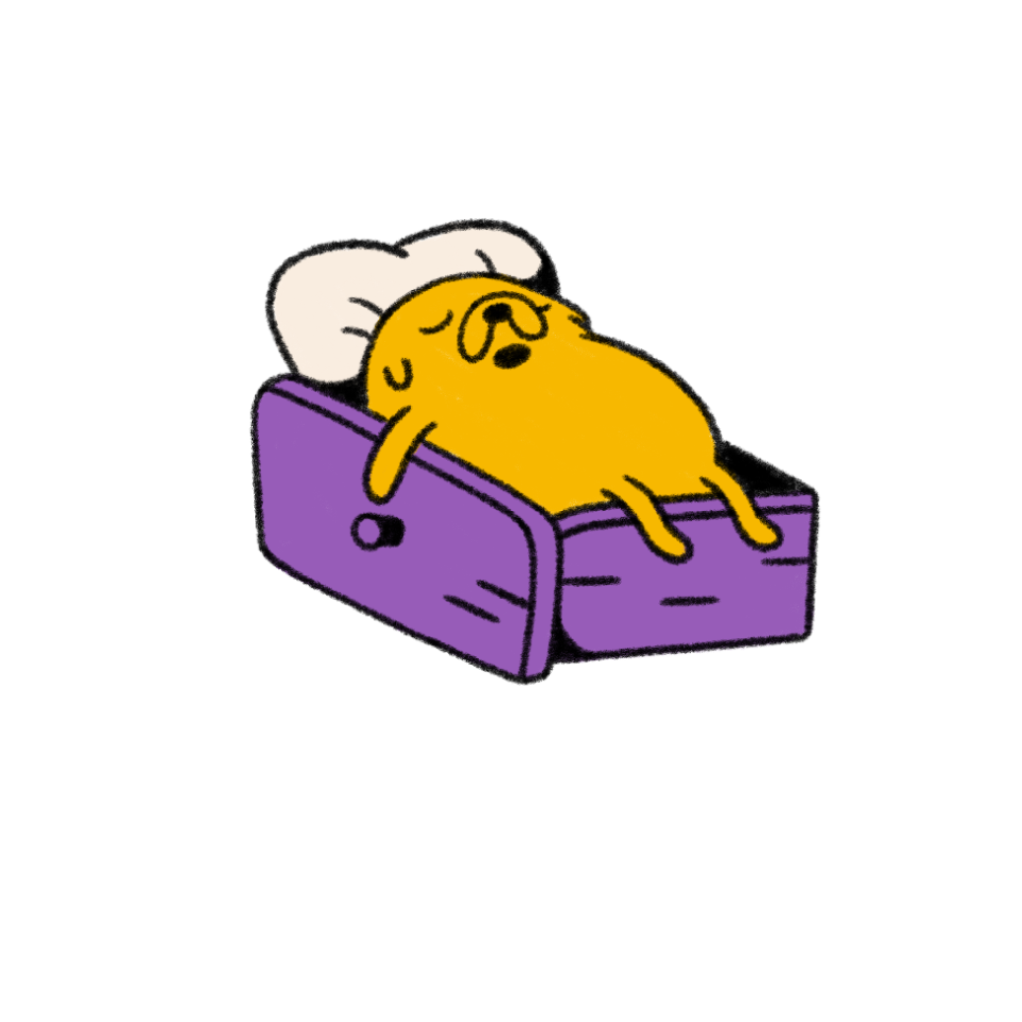 Jake durmiendo